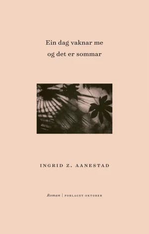 Omslag: "Ein dag vaknar me og det er sommar : roman" av Ingrid Zachariassen Aanestad