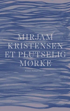 Omslag: "Et plutselig mørke : roman" av Mirjam Kristensen
