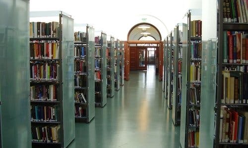 Bibliotekhyller med mange bøker