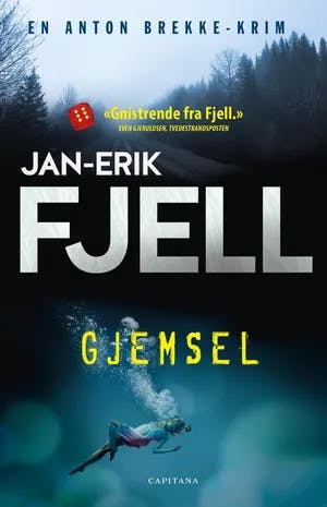 Omslag: "Gjemsel : krim" av Jan-Erik Fjell